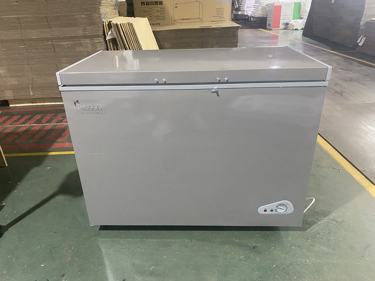 300 liters chest freezer BD-300Q
